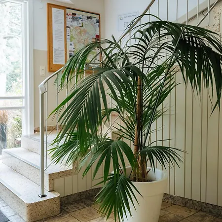 Der Sunderhof 西维陶尔